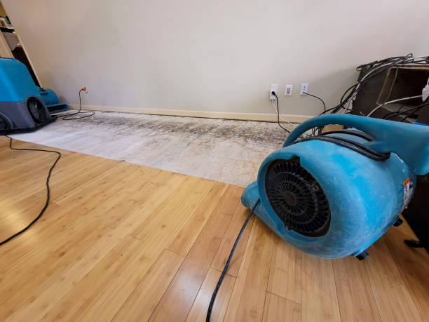 Professional Structural Drying technician working in Ripley, OK